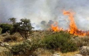 مهار آتش‌سوزی روستای «برقرو» سنندج؛ ۵۰ هکتار عرصه طبیعی طعمه حریق شد