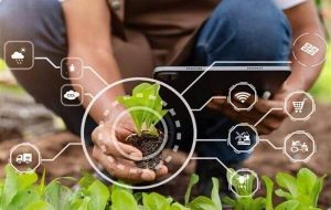 انتقال منابع طبیعی به محیط زیست آینده کشاورزی را نابود میکند