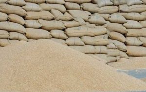 کشف ۲۵ تن گندم قاچاق در مراغه