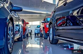 انتقاد نماینده مجلس از تعلل در واردات خودرو