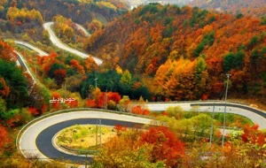 محور کرج-چالوس به مدت ۲۴ ساعت مسدود است