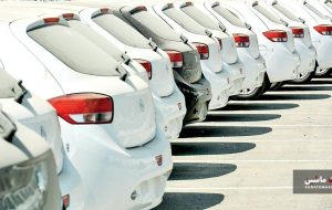 سازمان حمایت مخالف قیمت گذاری دستوری است