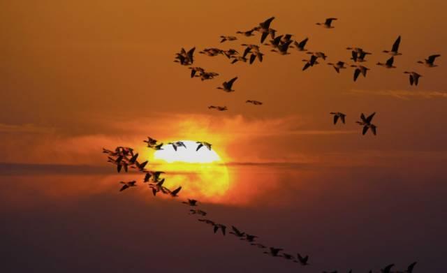 4023000487r85n967096