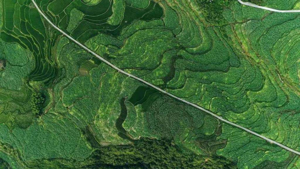 image-20200530192024255