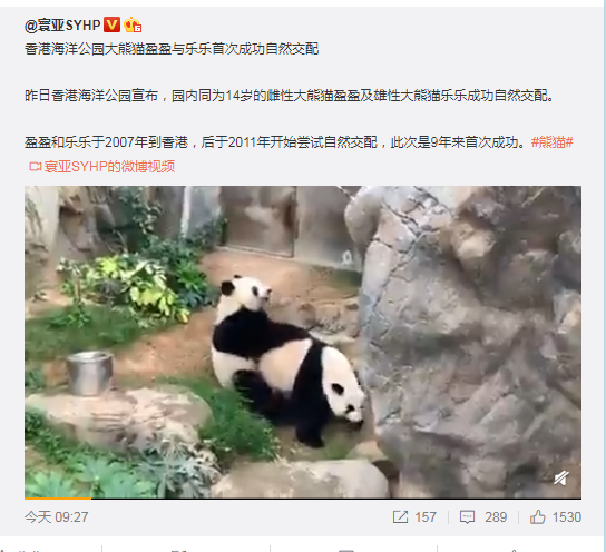 image-20200407165434407