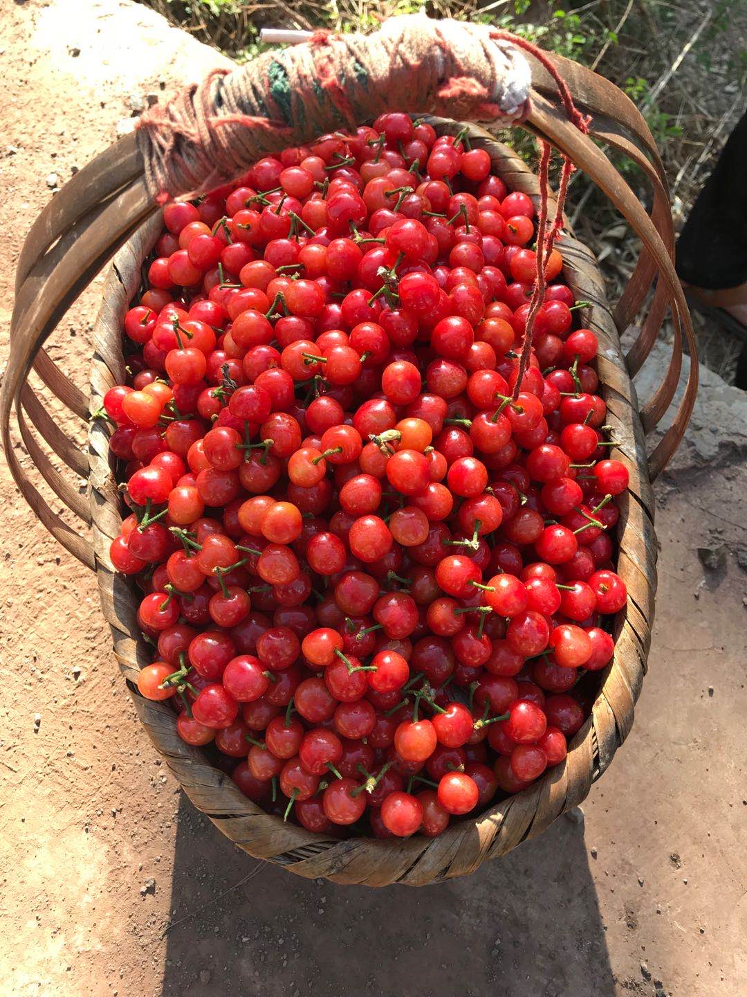 image-20200416150104735