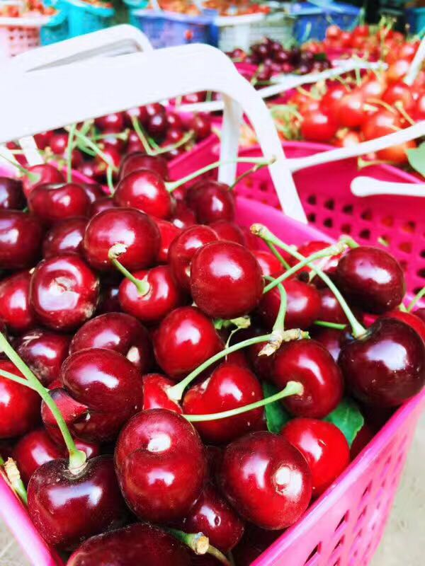 image-20200416150112152