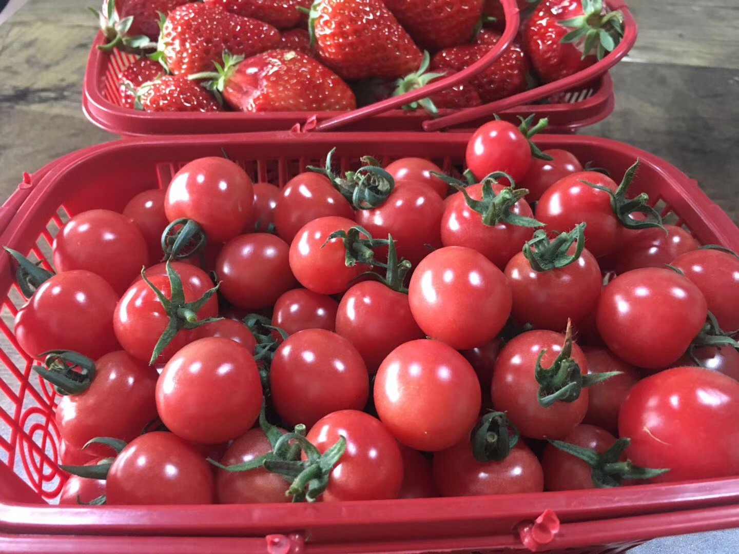 image-20200416150122650