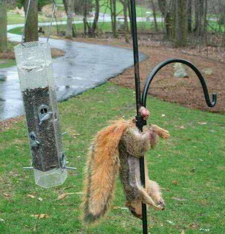 image-20200418160921081