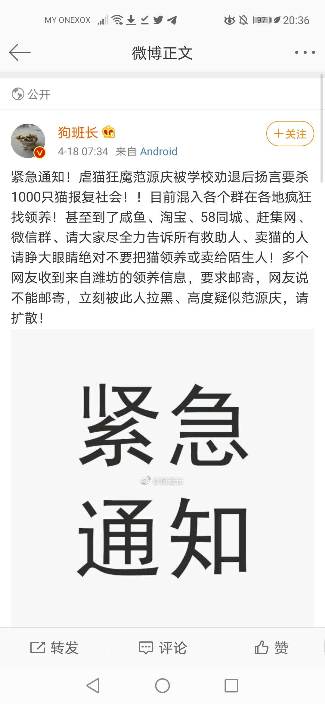 image-20200418230935246