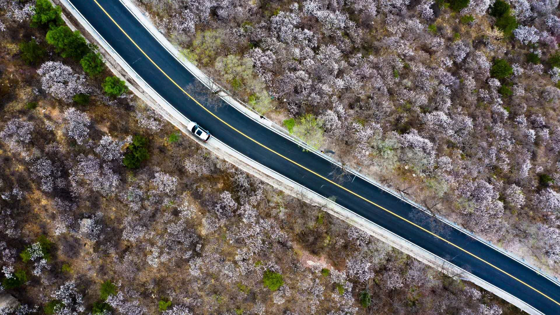 image-20200418231444101