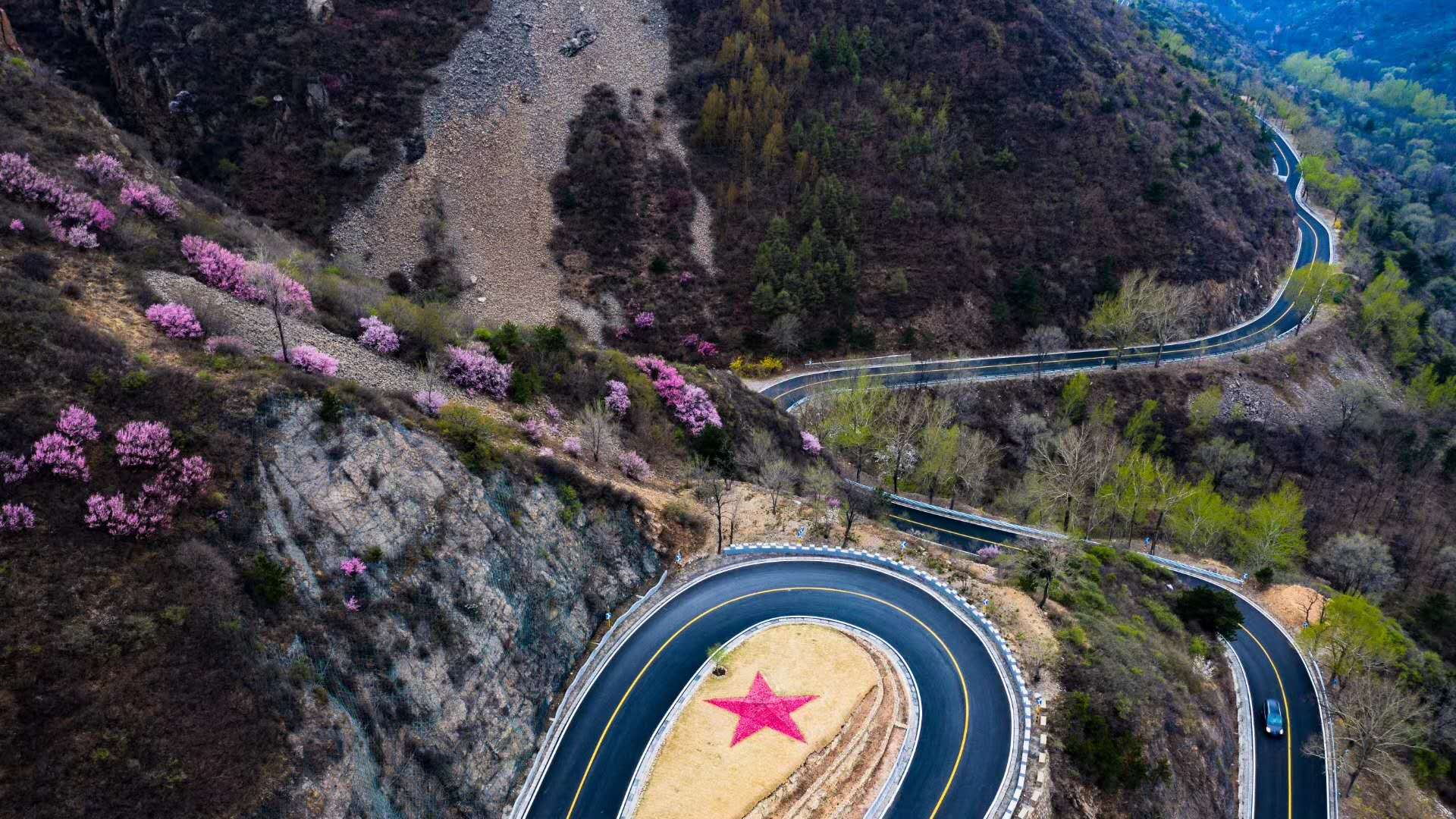 image-20200418231453258