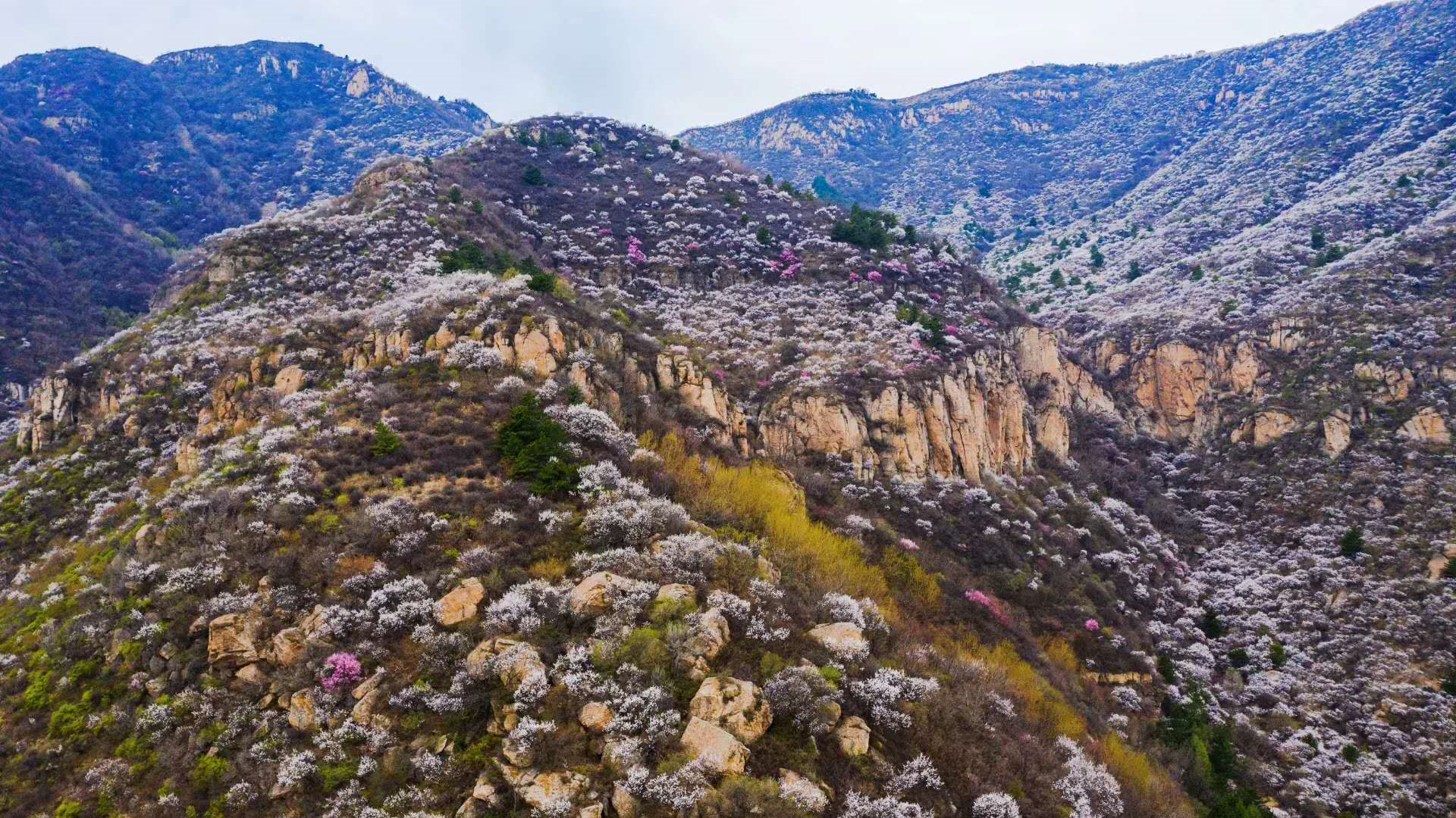 image-20200418231502298