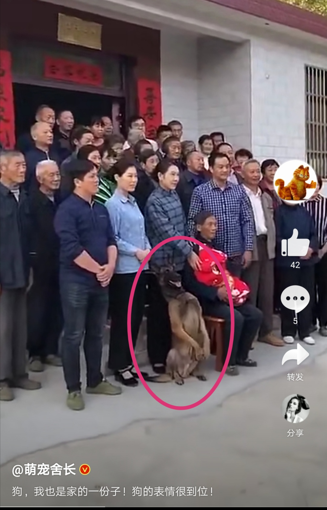 image-20200421213311247