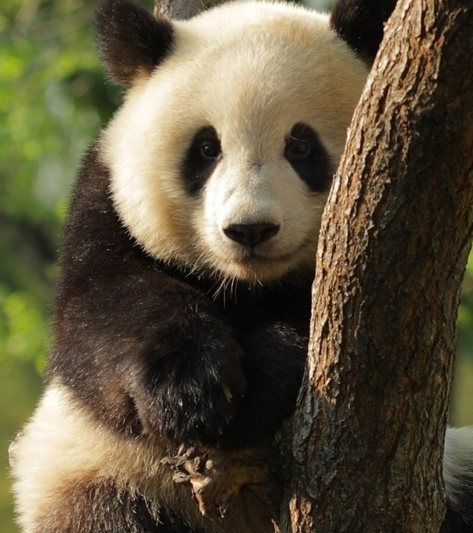 image-20200424155330769