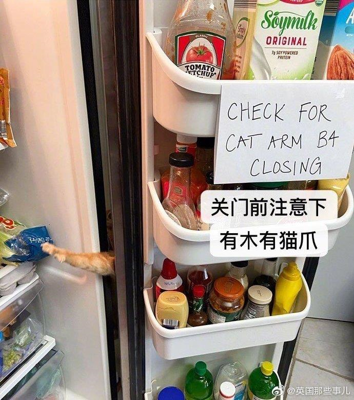 image-20200429185629685