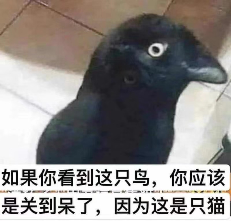 image-20200430214612198