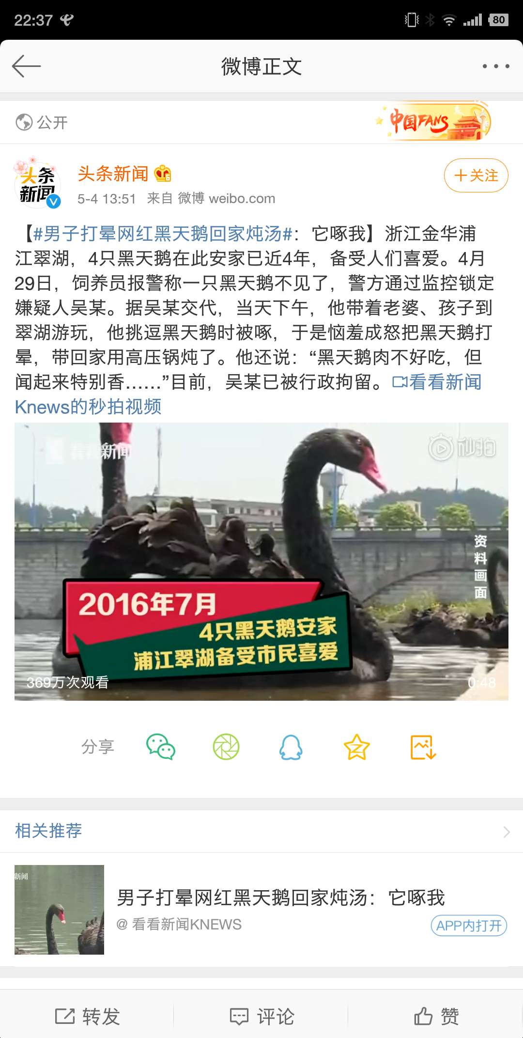 image-20200504233746765