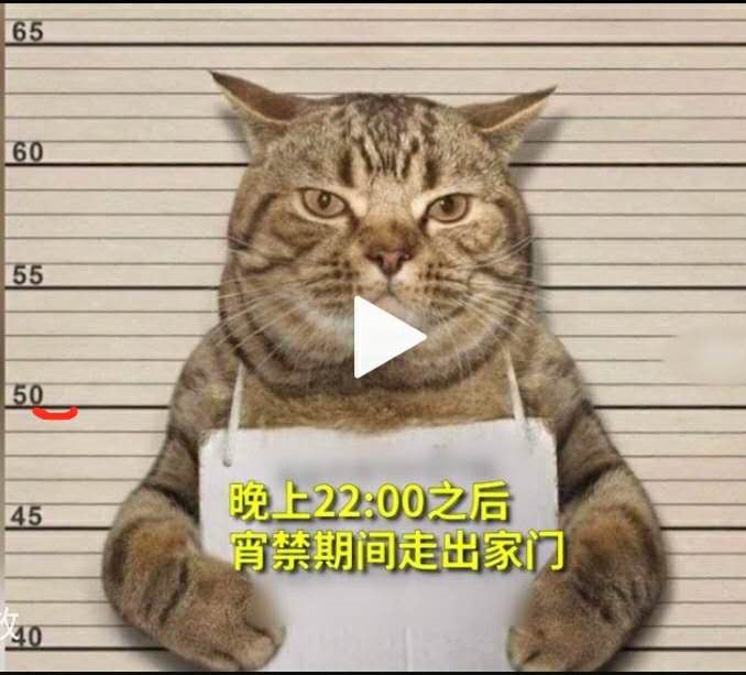 image-20200505171922801