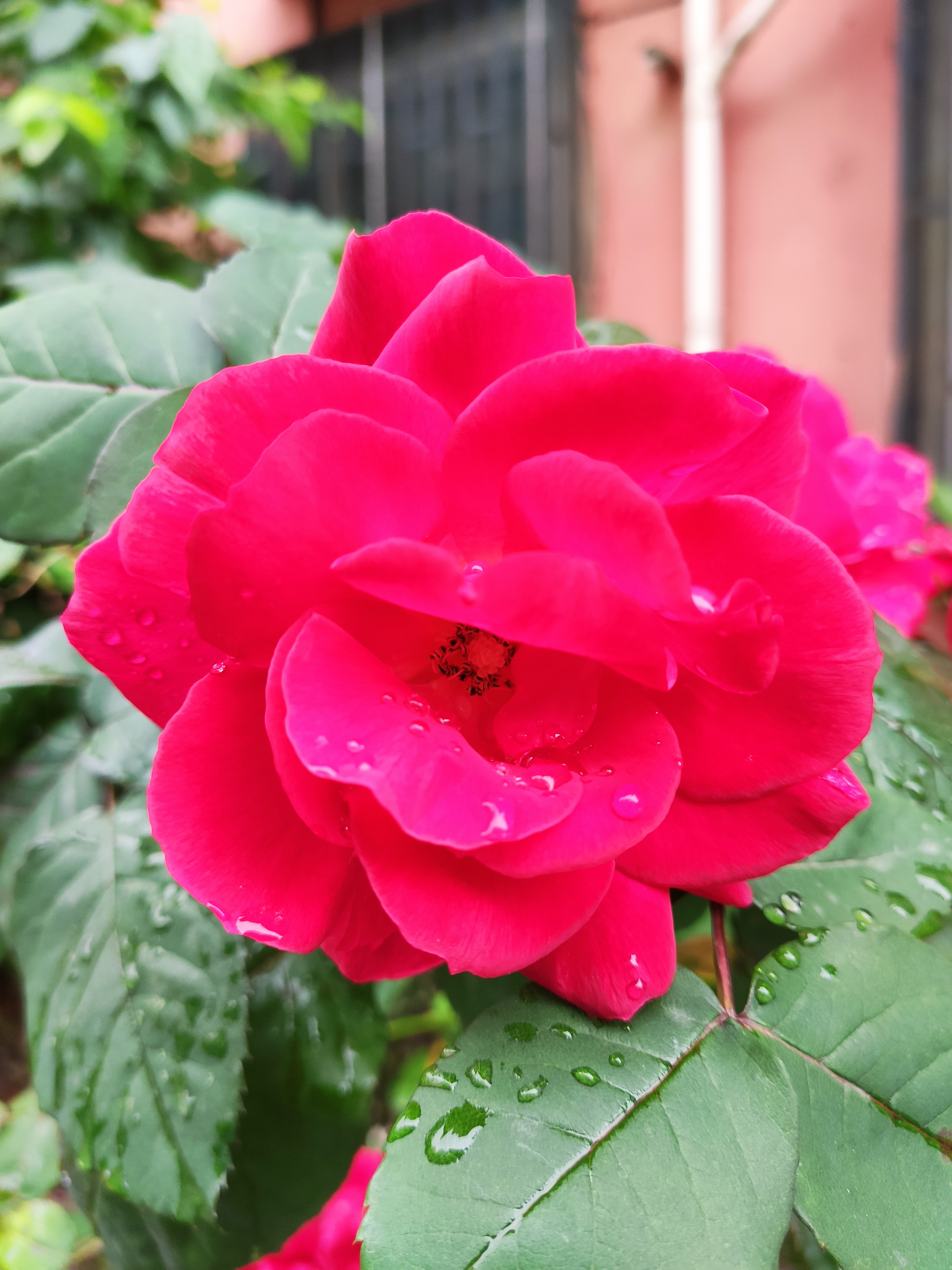 image-20200505172209225