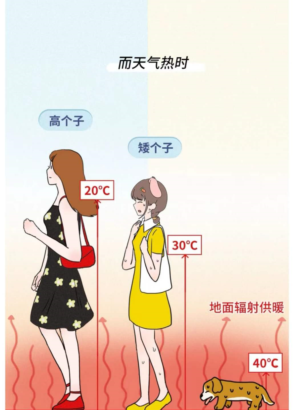 image-20200507184124758