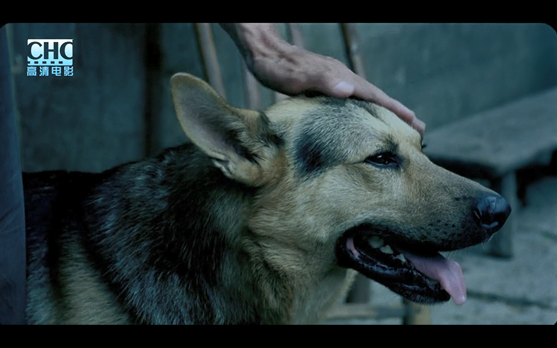 image-20200507203546248