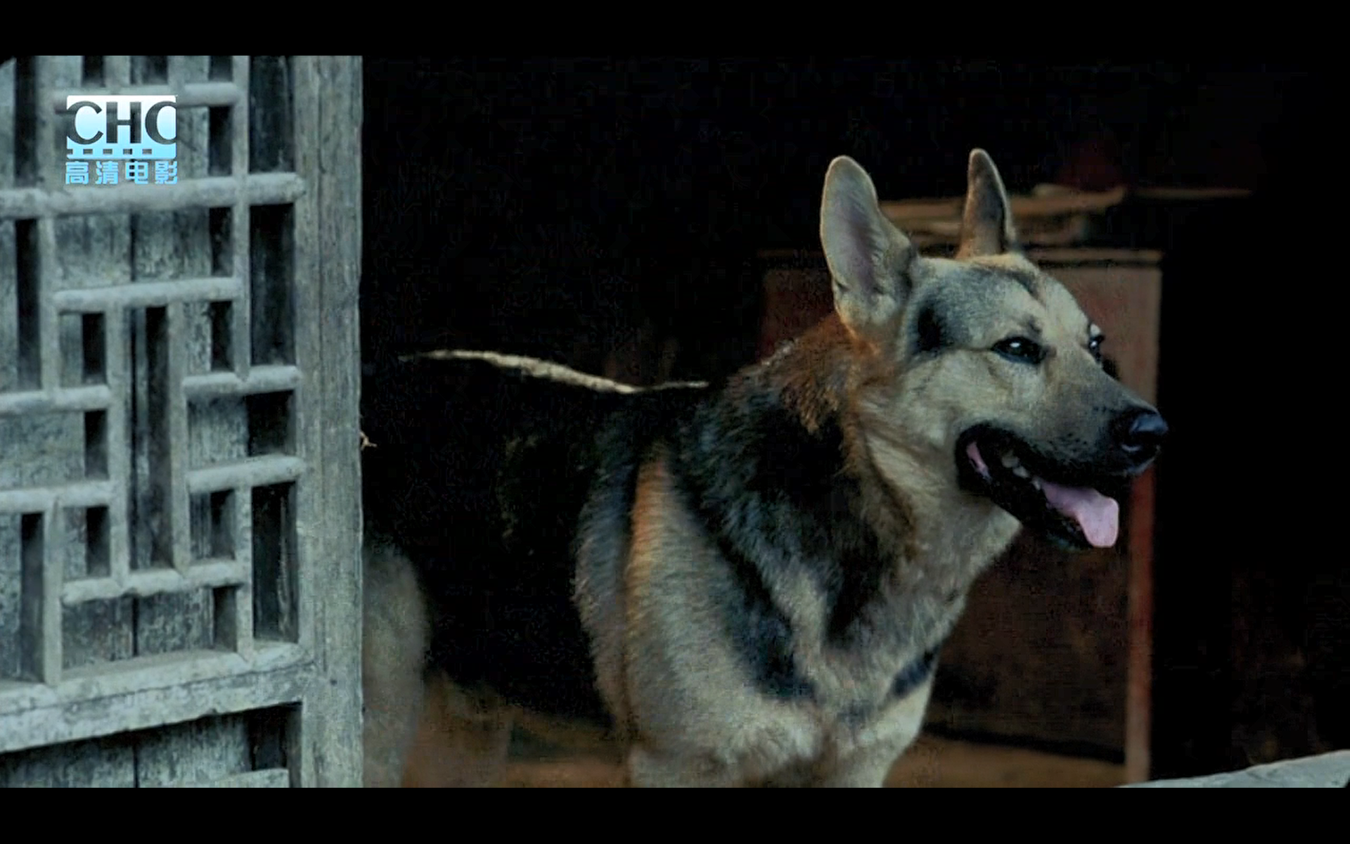 image-20200507203647409