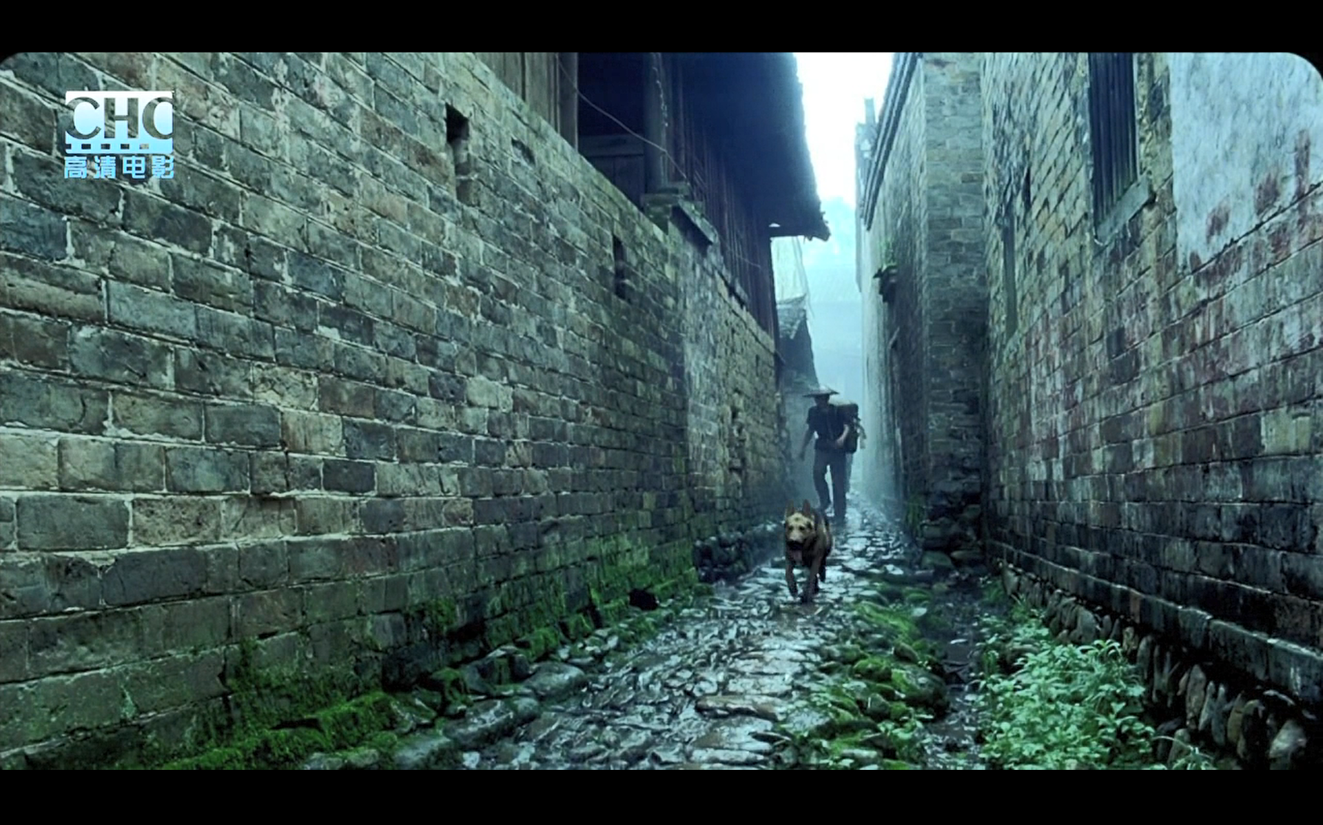 image-20200507203817361