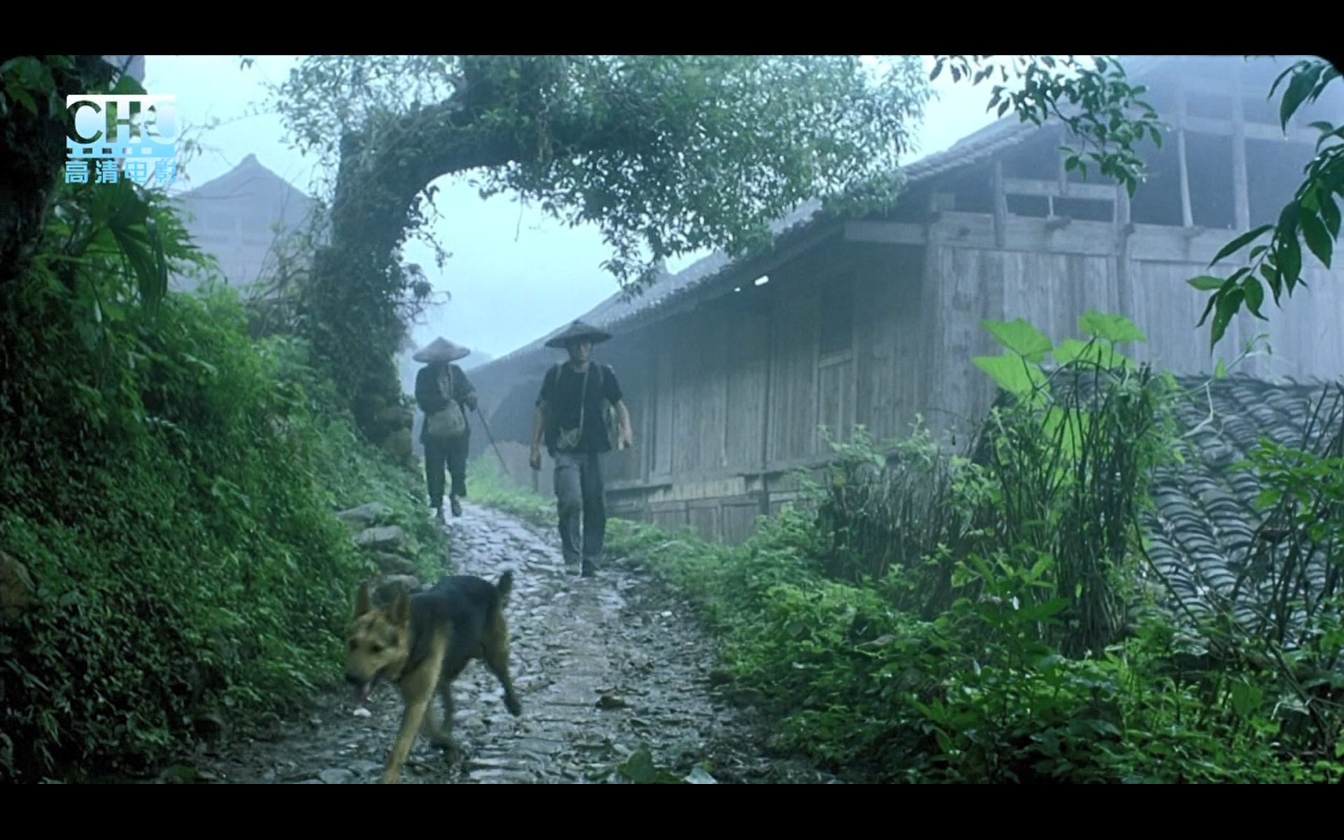 image-20200507203842954