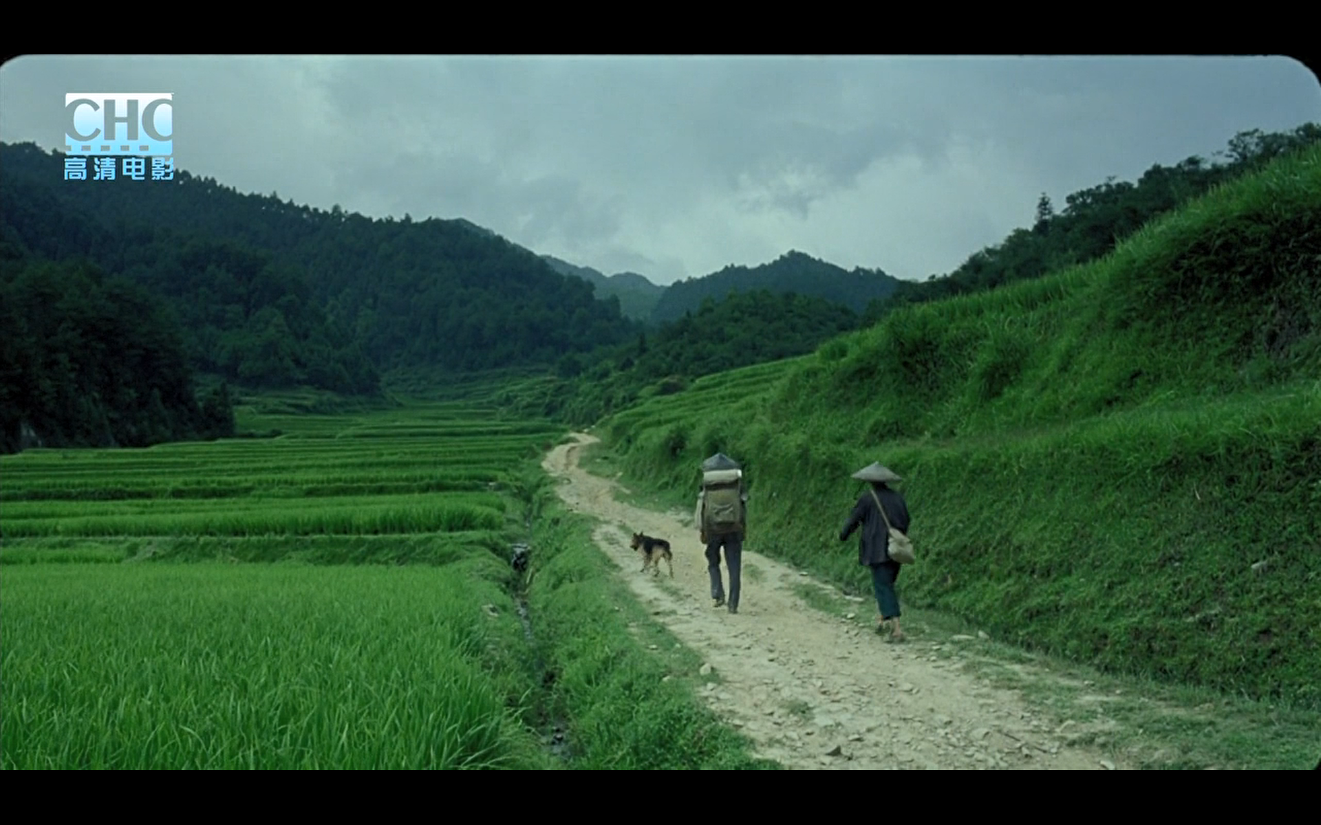 image-20200507203948885