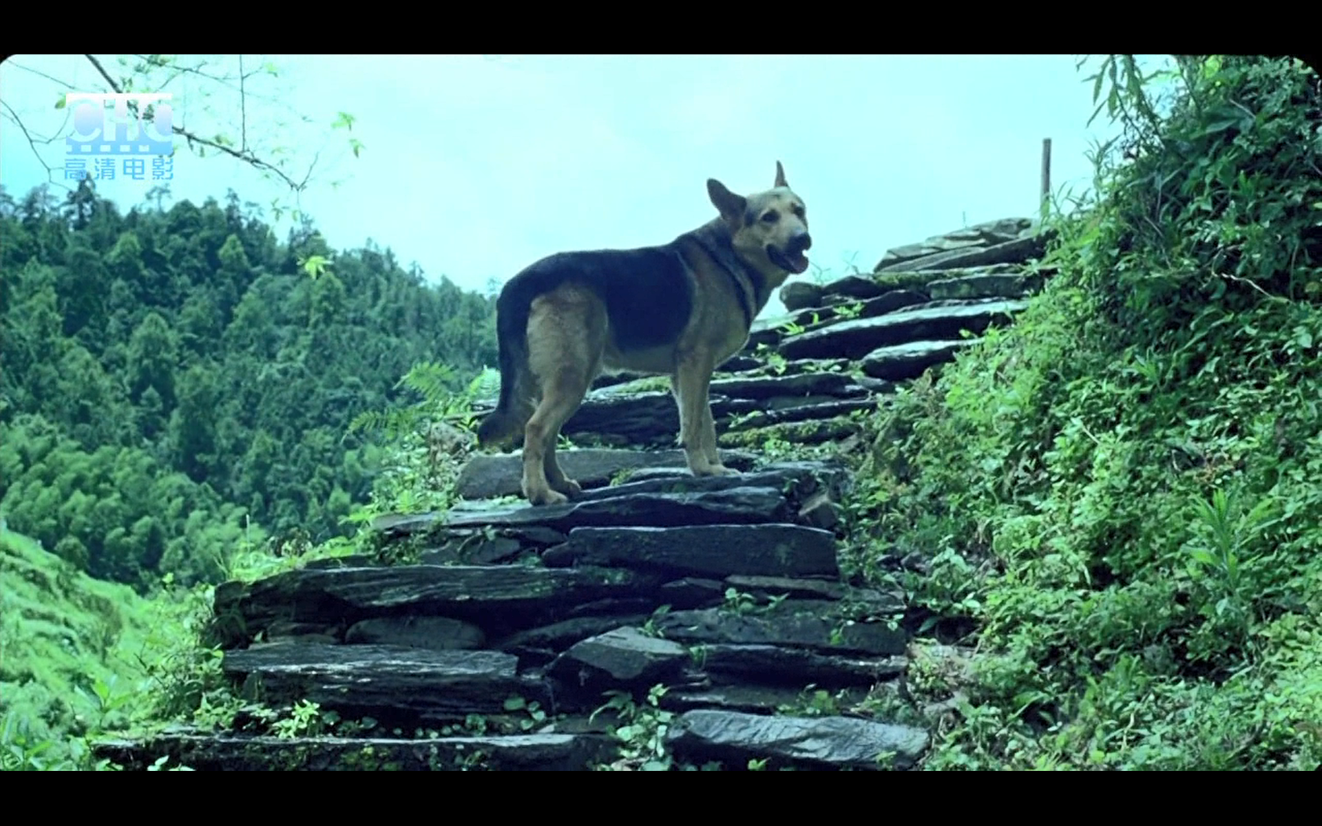 image-20200507204051762