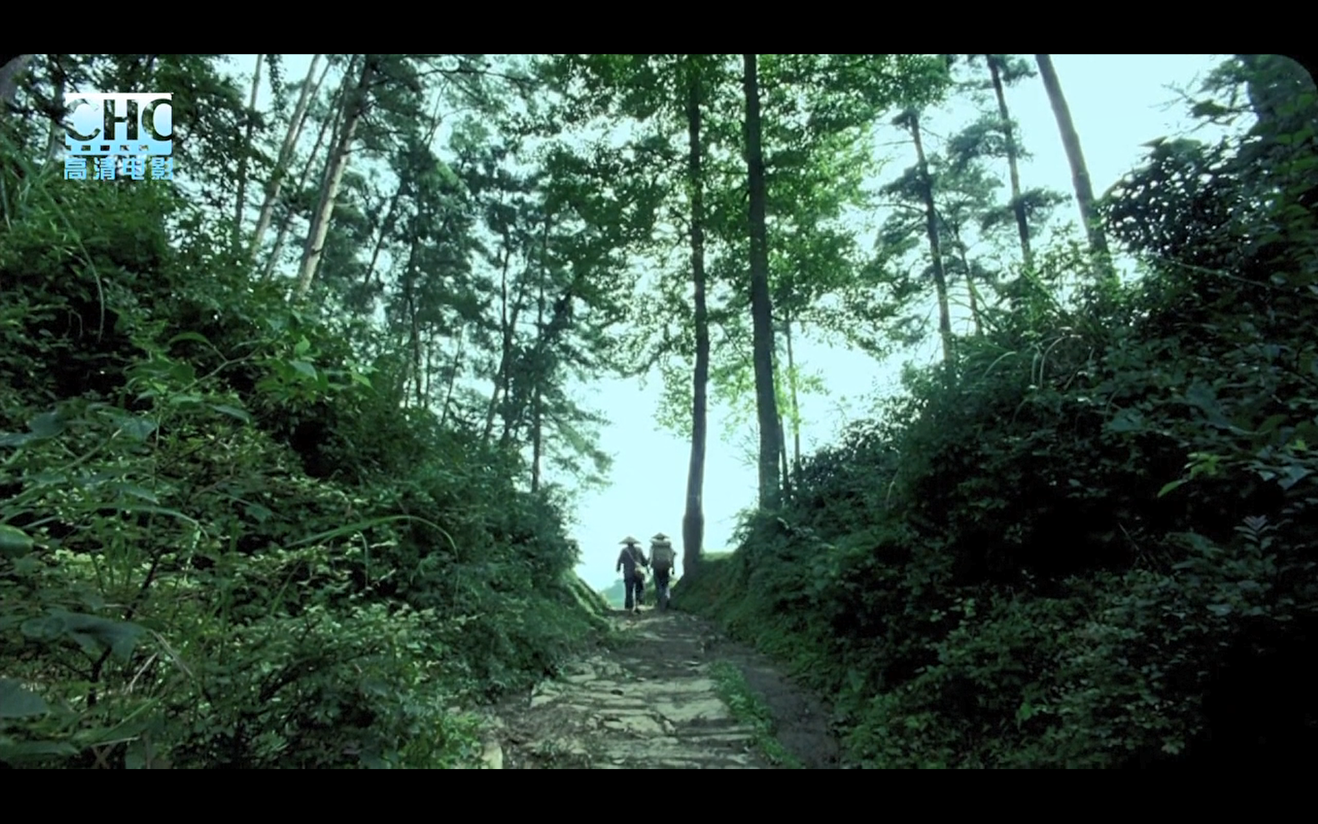 image-20200507204200848