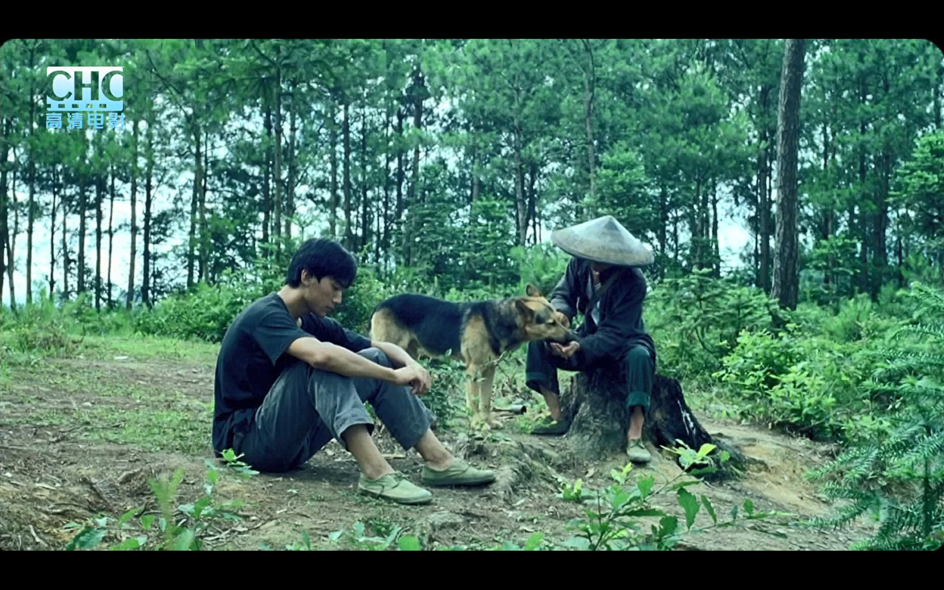 image-20200507204448954