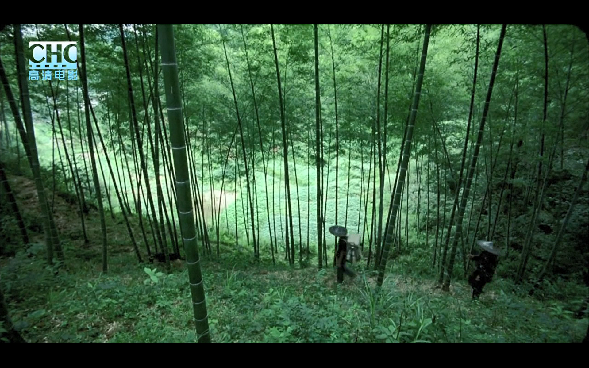 image-20200507205000991