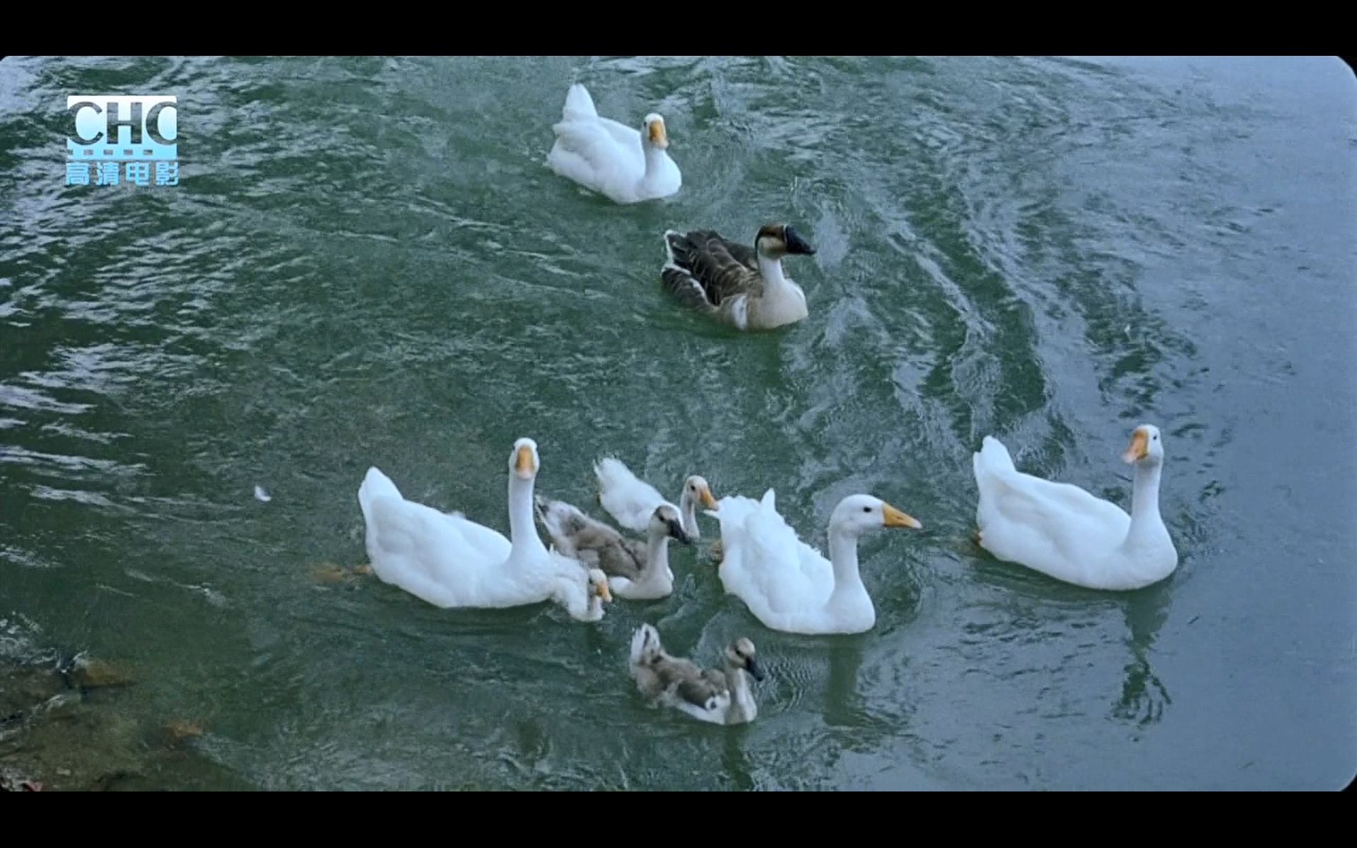 image-20200507210058653