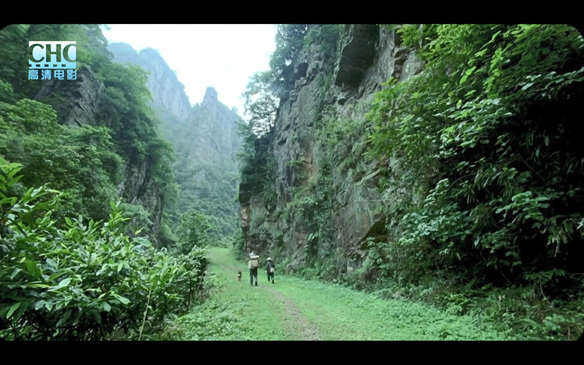 image-20200507210117026