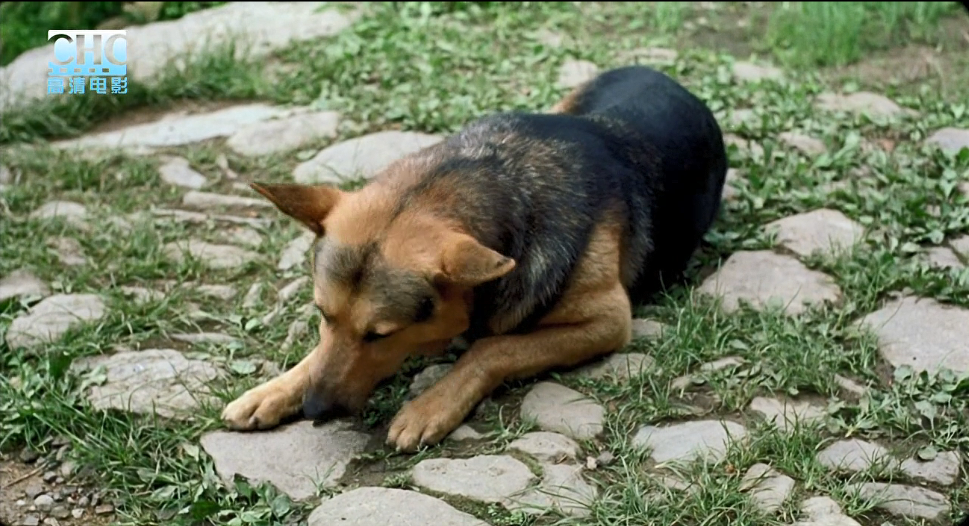 image-20200507210620226