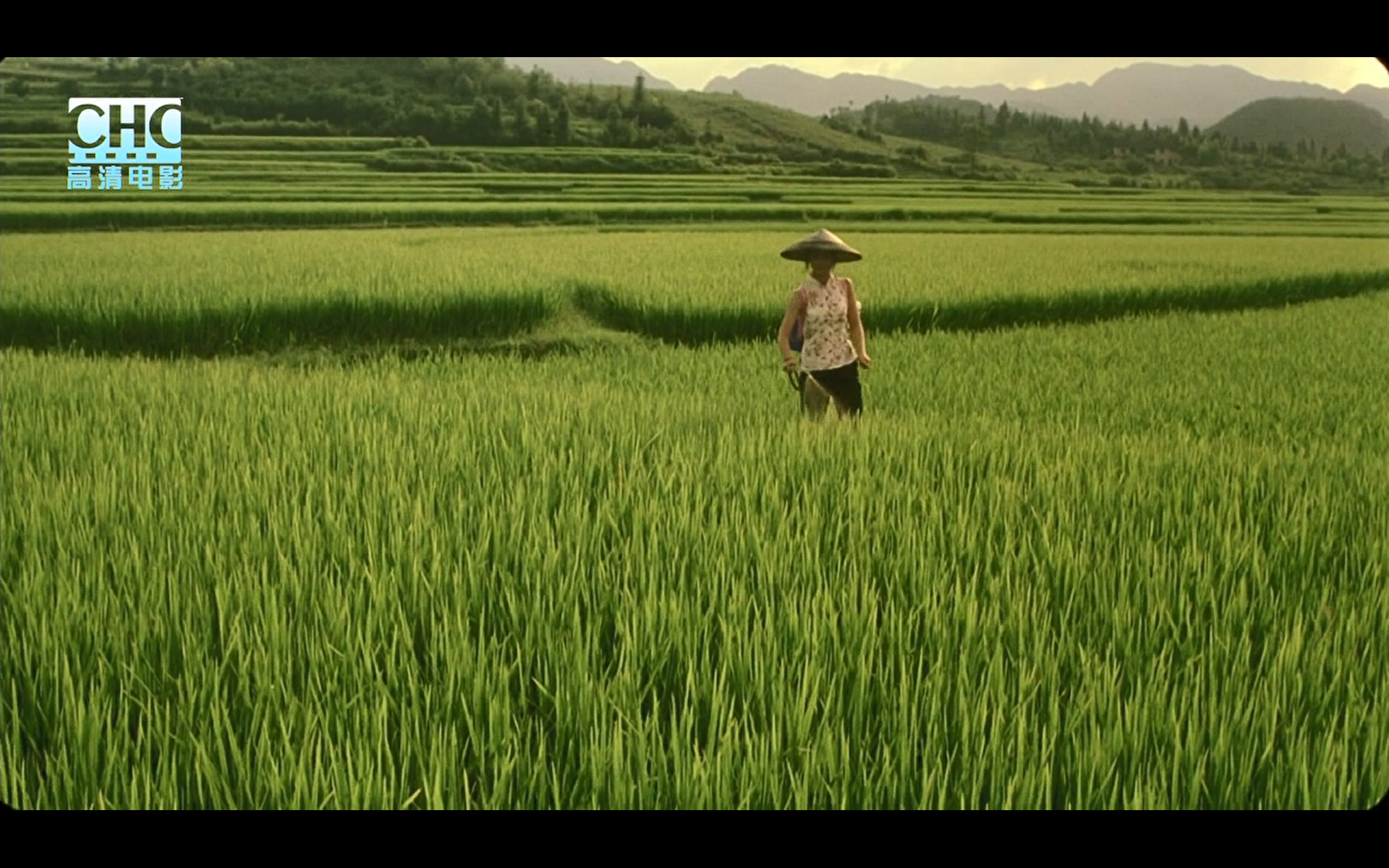 image-20200507214109418