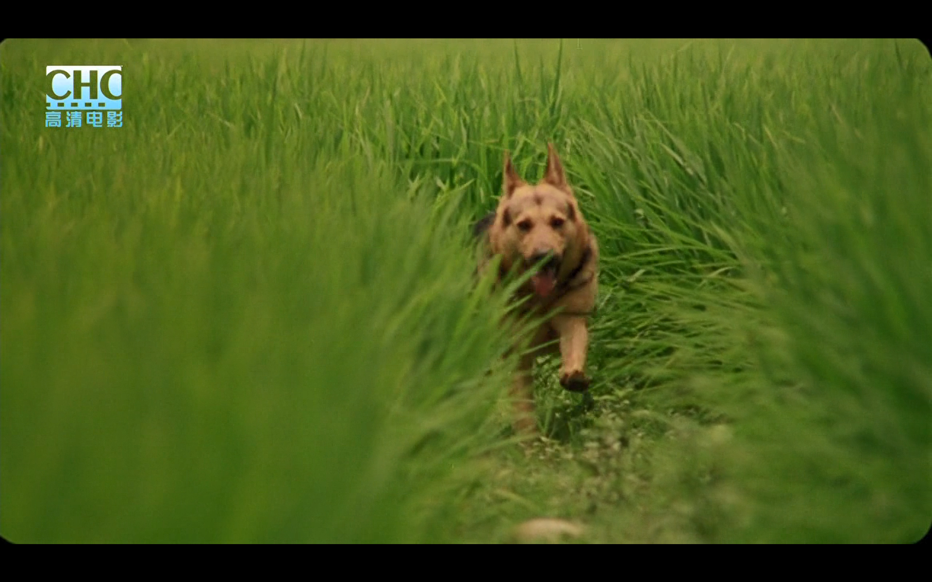 image-20200507214157239