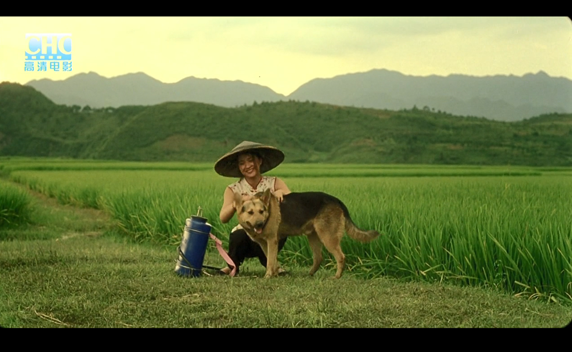 image-20200507214320836