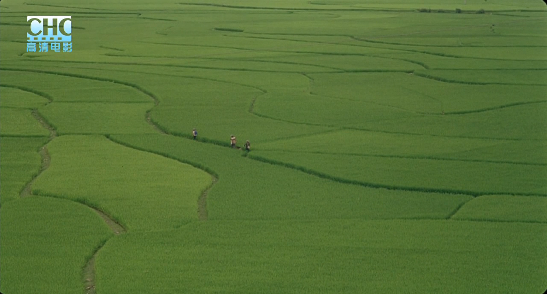 image-20200507214521084