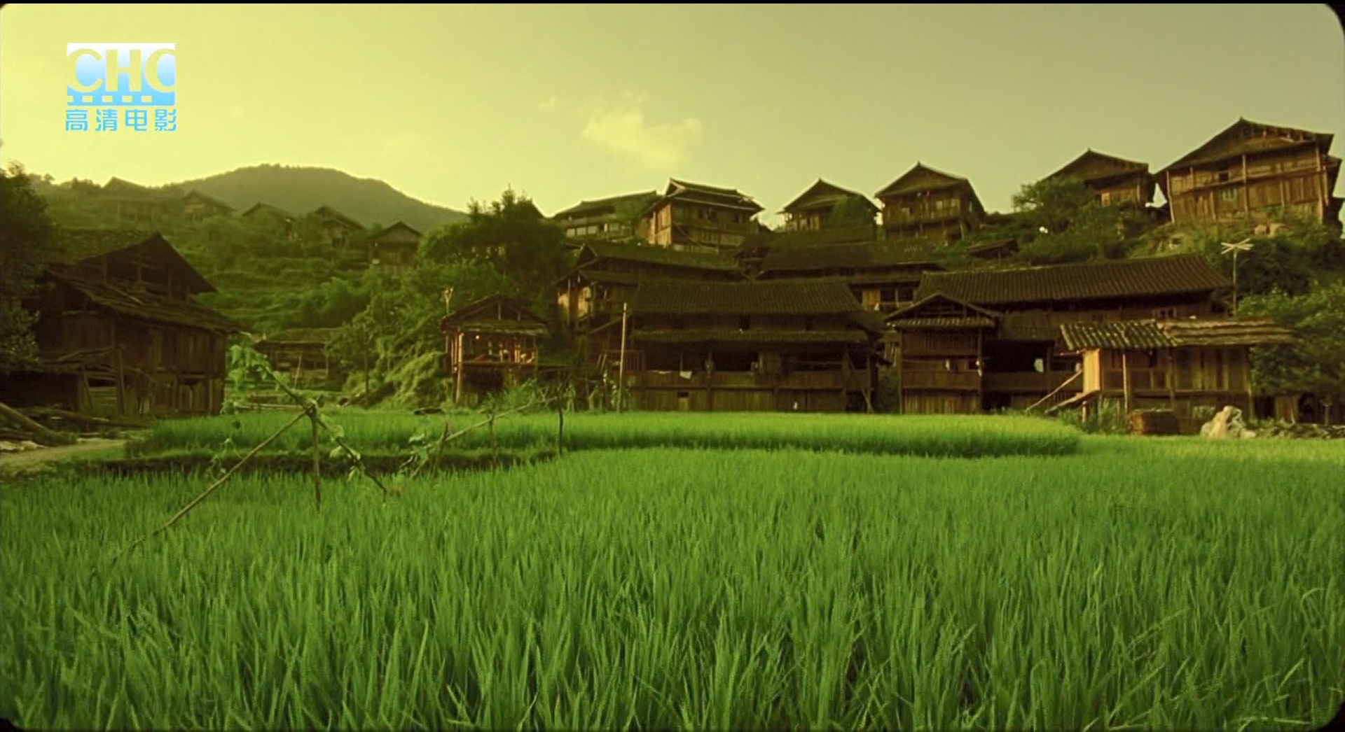 image-20200507215059756