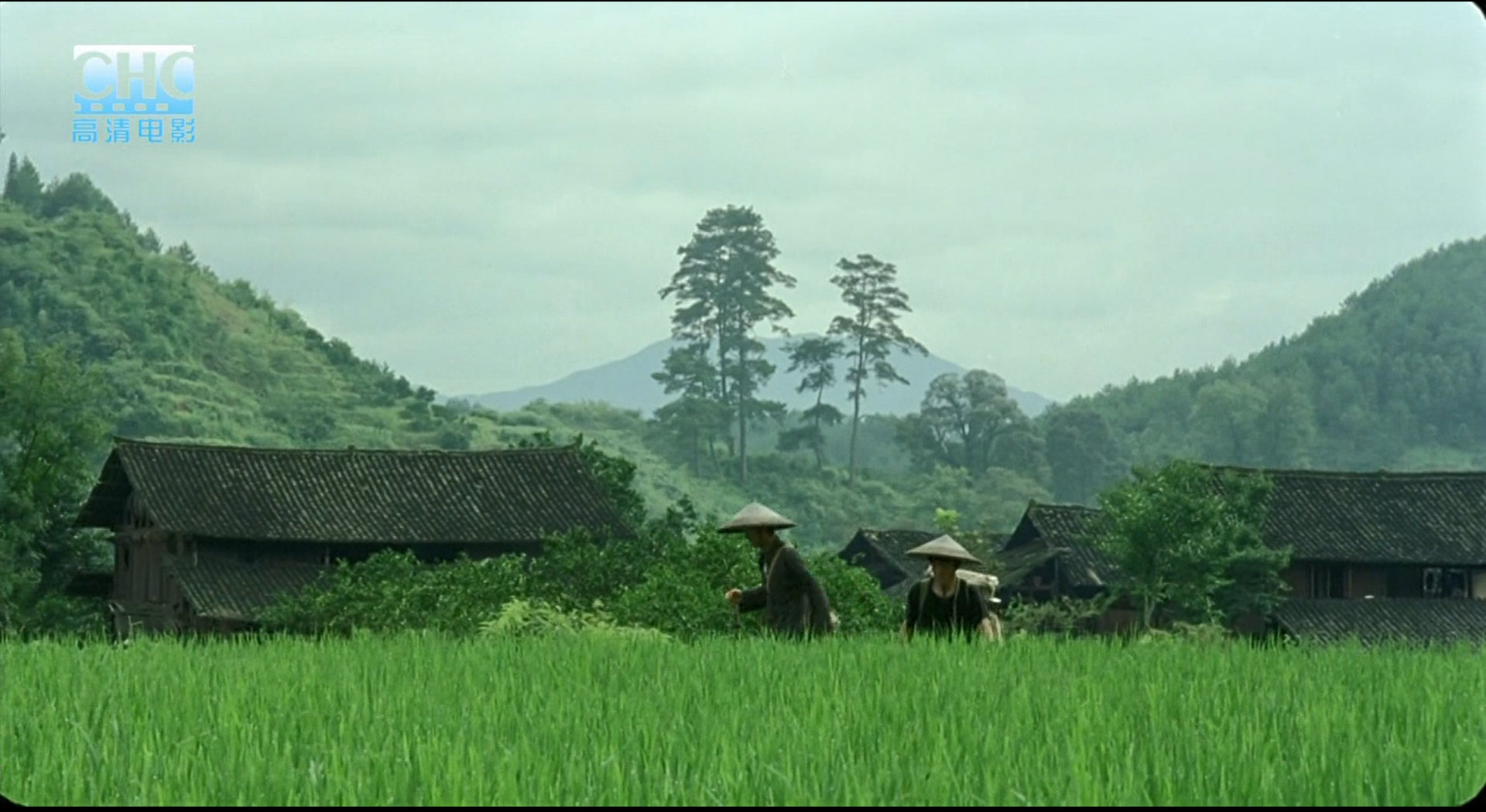 image-20200507215854868