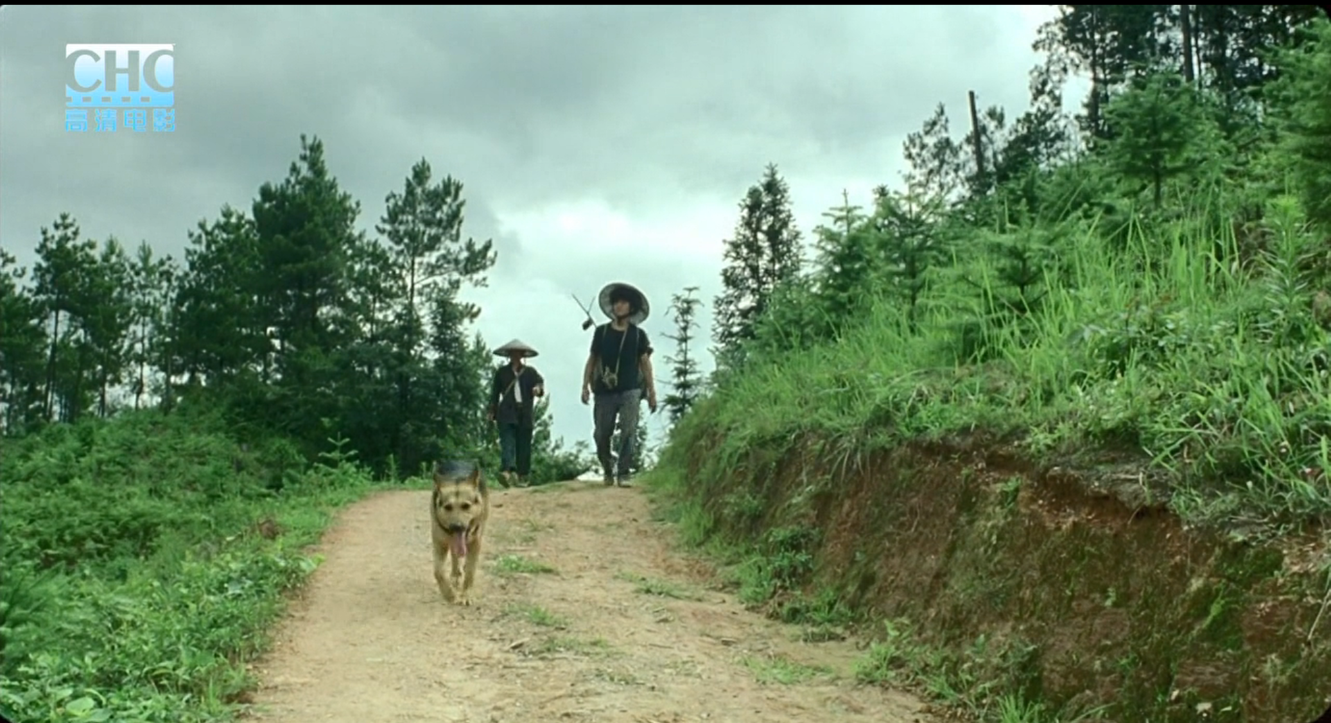 image-20200507220227606