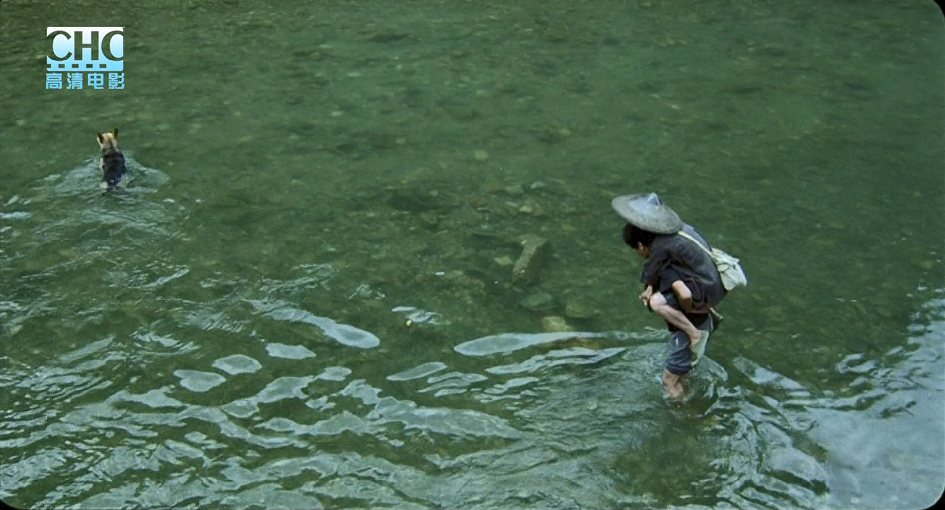 image-20200507222646294