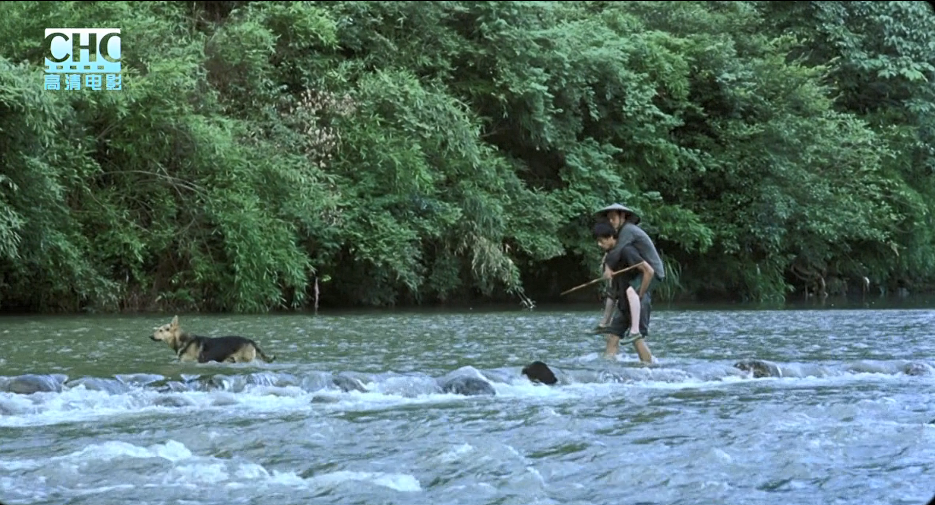 image-20200507222812936