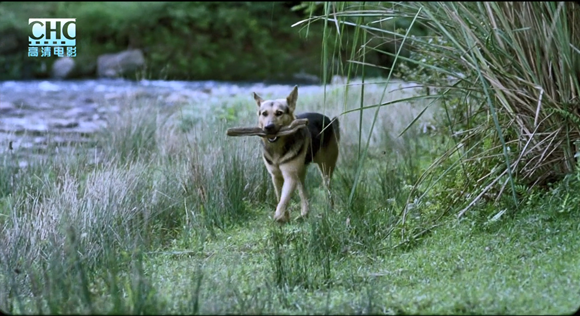 image-20200507223021549