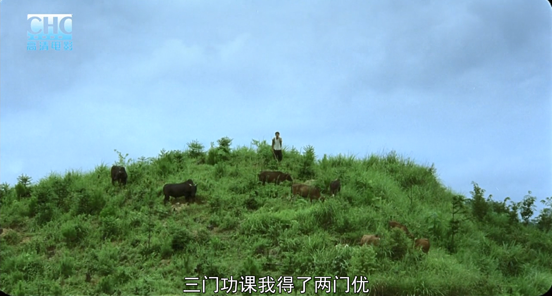 image-20200507223917512