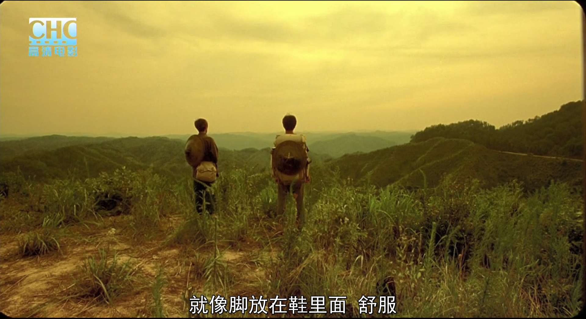 image-20200507224226369