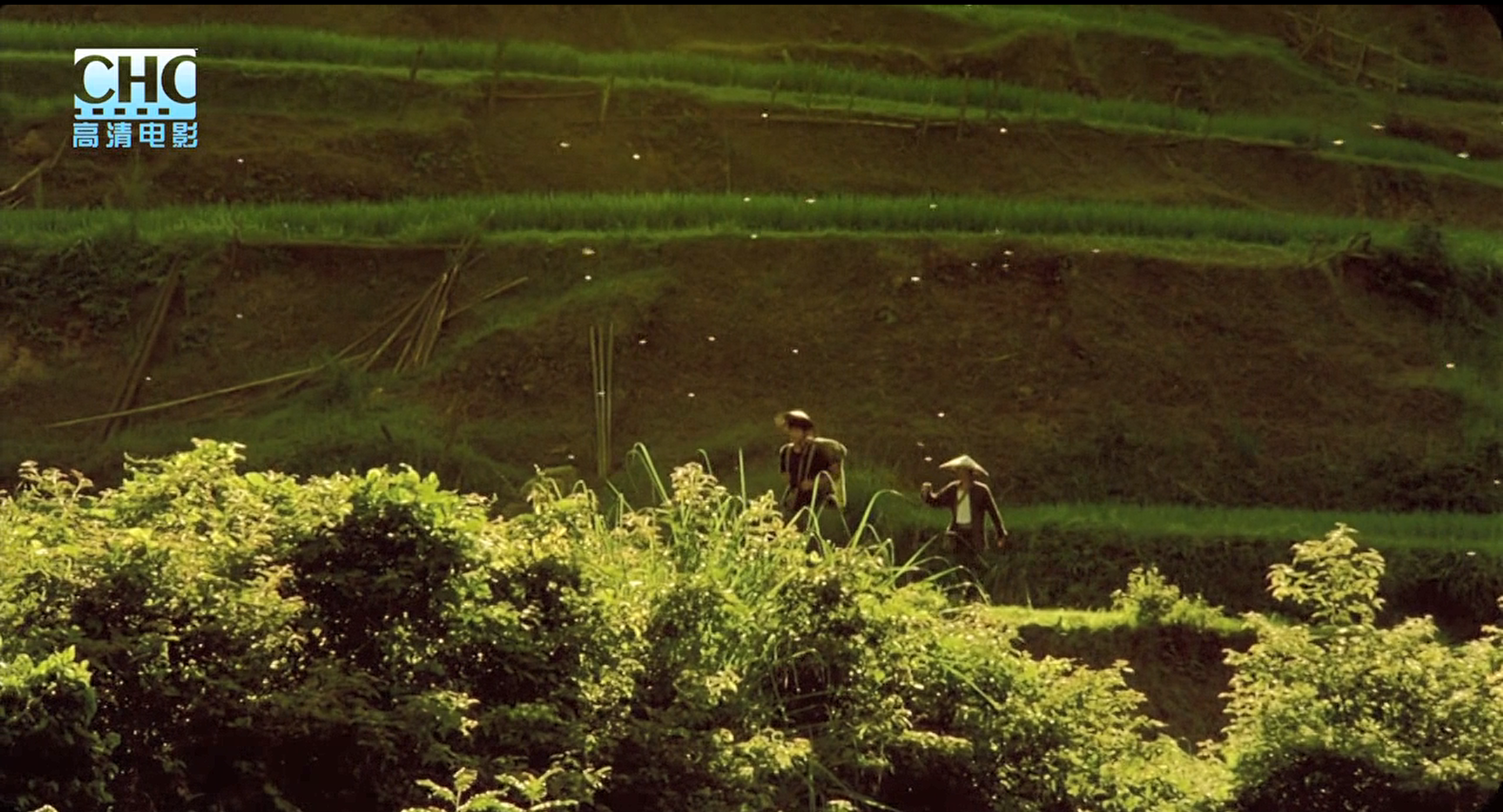 image-20200507225809463